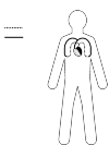 small circulation shown schematically